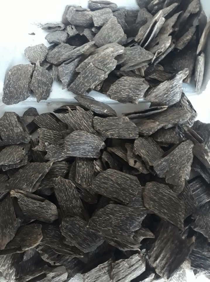 Trầm hương miếng hàng đẹp chuẩn rừng Tiên Phước Quảng Nam - Trầm sạch tốt cho sức khỏe