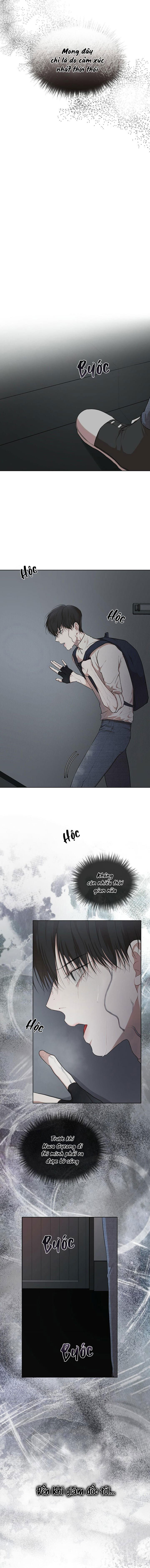 hình thái khởi sinh chapter 56 9