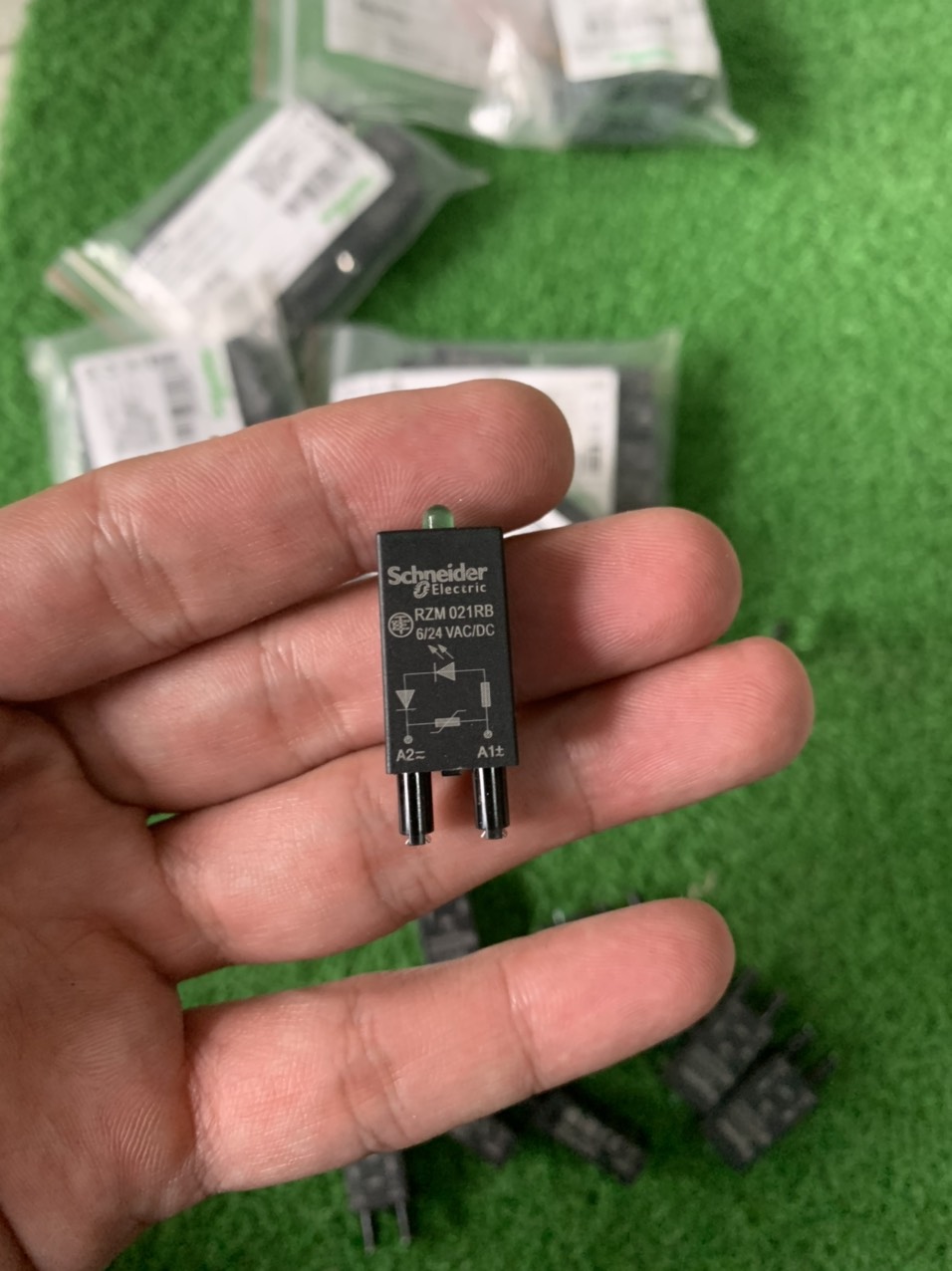 Đèn cho rơ le RZM021RB Schneider - | Chính hãng |