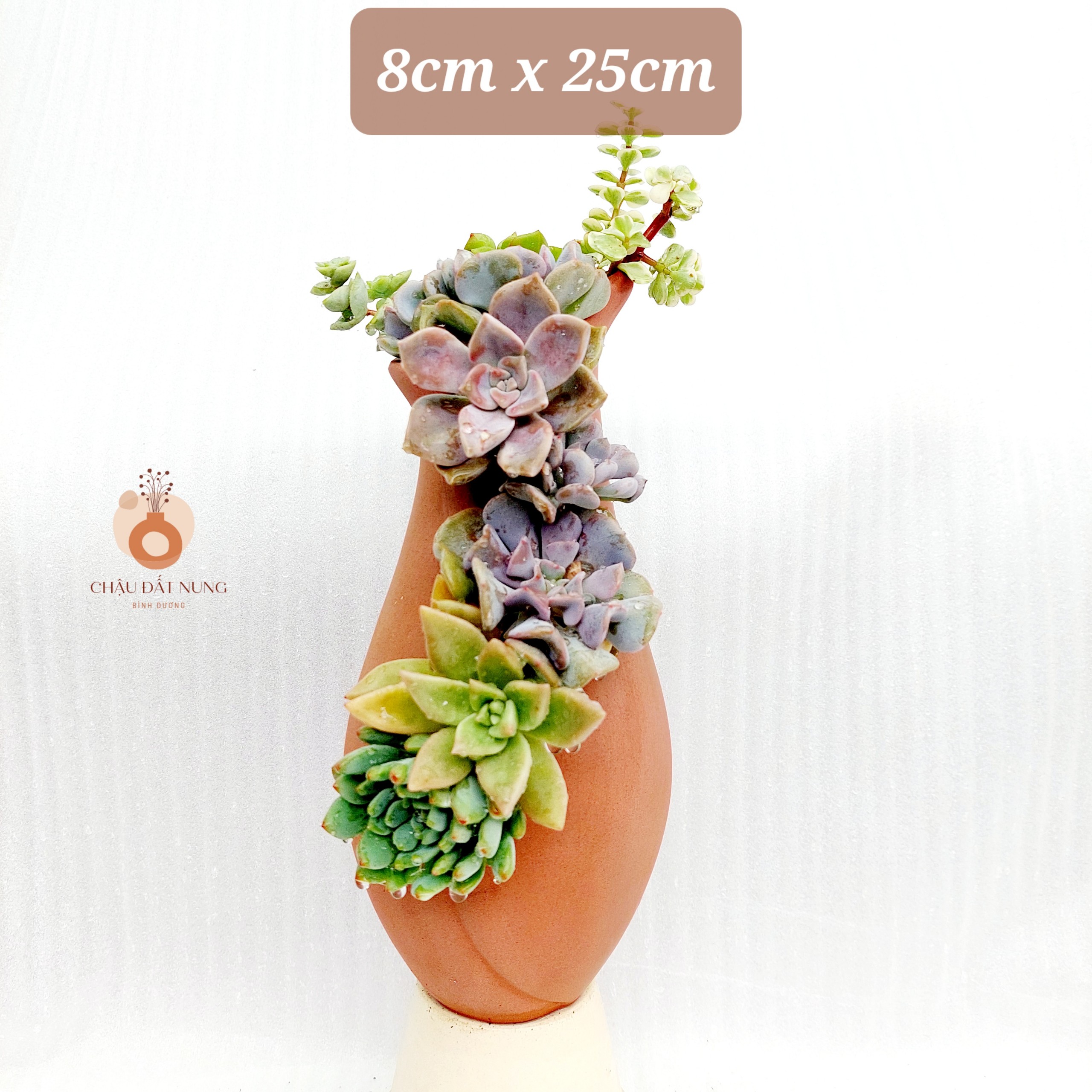 Chậu đất nung - Bình hoa 825, miệng chậu 8cm, chiều cao 25cm