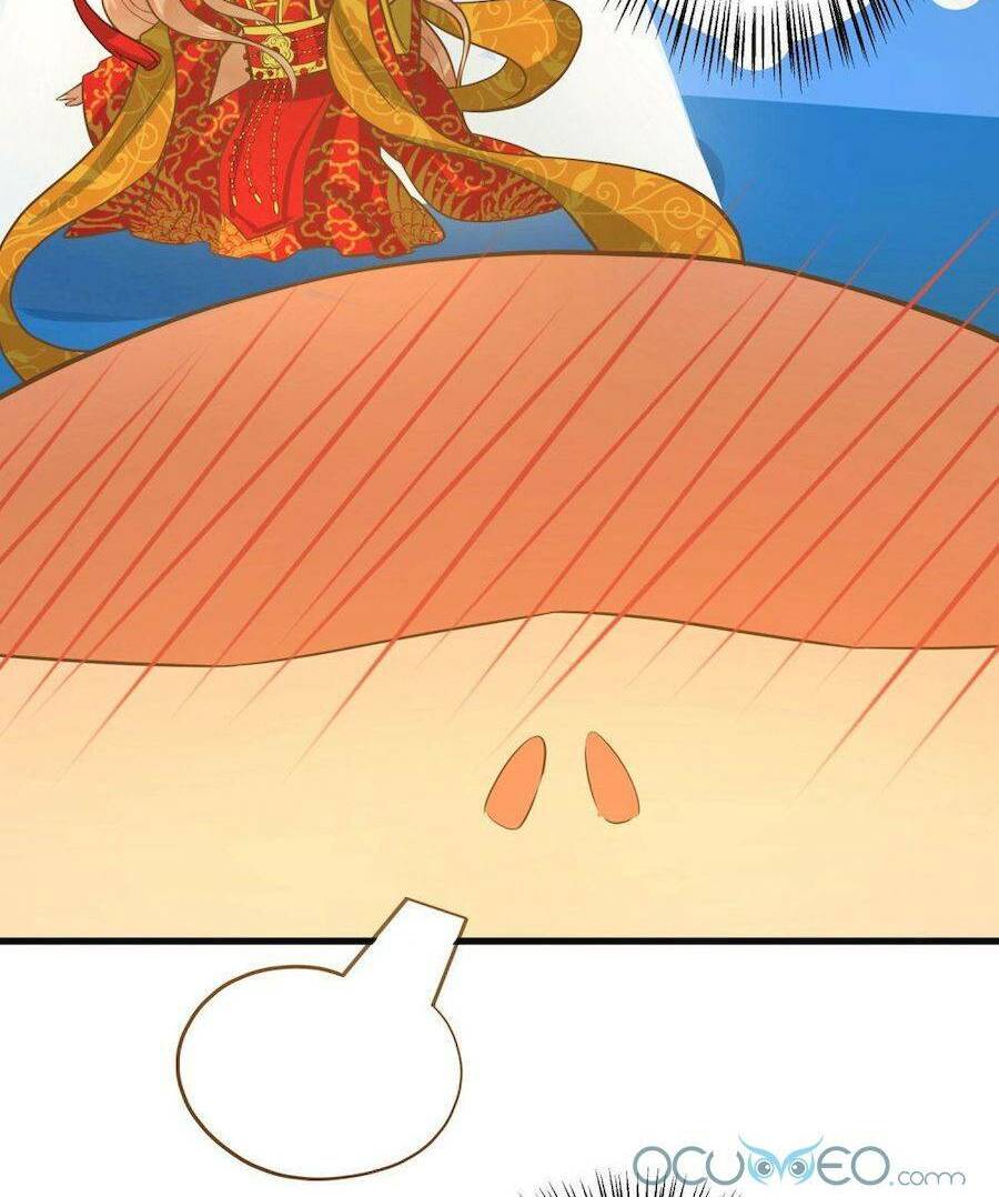 quý phi này có chút cơ chapter 1 26