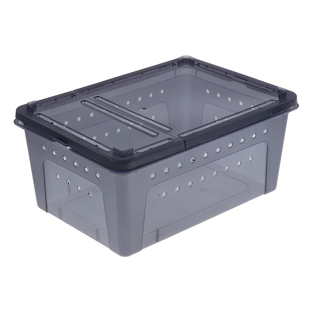 Insect Spider Snake Reptile Transport Breeding Feeding Case 25x17.5x11cm