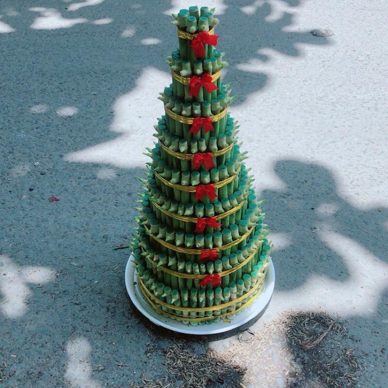 Trúc Phát Tài 9 Thân Kèm Dĩa