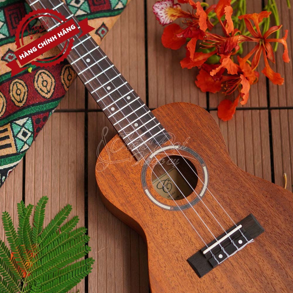 Đàn Ukulele Concert CHARD UK-24M, Mặt Đàn Gỗ Nato, Màu Nâu Gỗ, Dễ Chơi