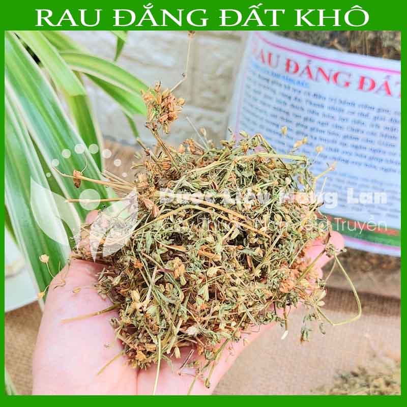 Cây Rau Đắng Đất khô sạch đóng gói 500gram