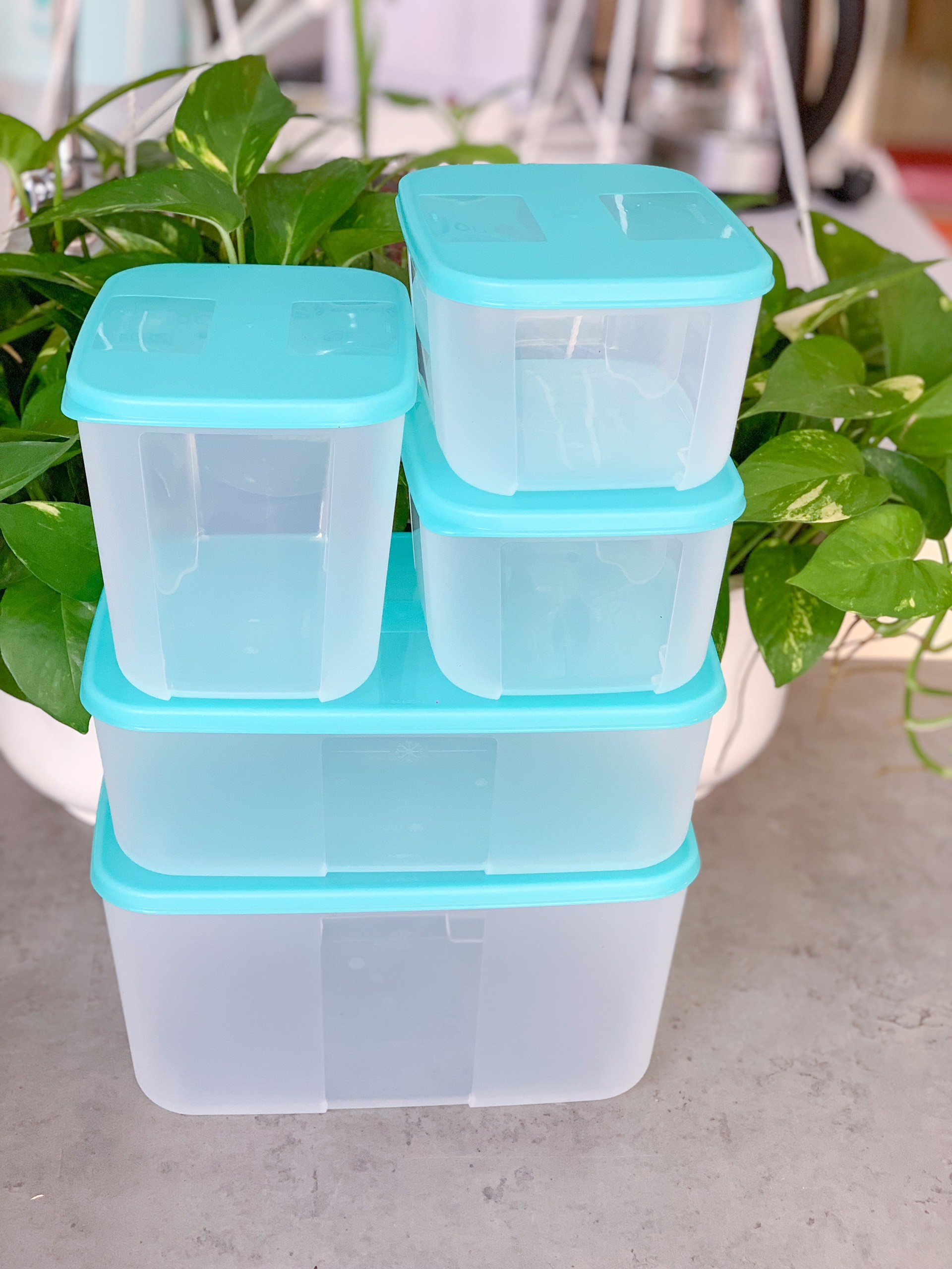 Bộ hộp trữ đông Freezermate Paradise set 5 hộp nhựa nguyên sinh Tupperware - Hàng chính hãng