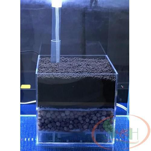 Hộp lọc đáy Taiwan DIY Undergravel Filter Box mica sủi đáy hồ cá tép