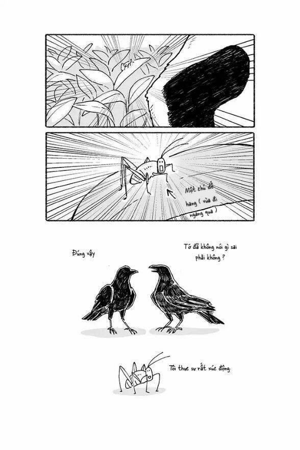 gấu và tanuki chapter 3 4