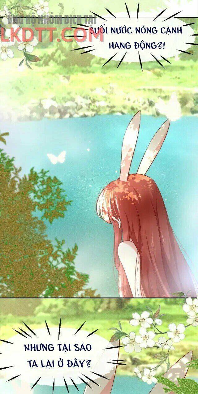 hắc hóa nam chính trực tuyến nuôi thỏ chapter 25 5