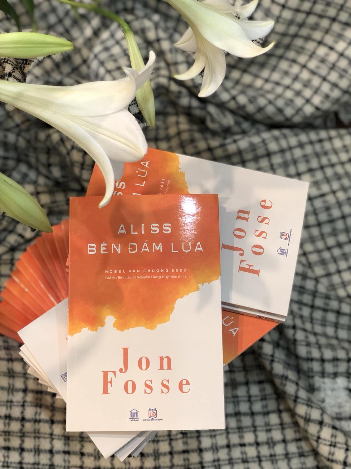 ALISS BÊN ĐÁM LỬA - Một Tác Phẩm Của Nhà Văn Đoạt Giải Nobel Văn Chương 2023 (Jon Fosse)