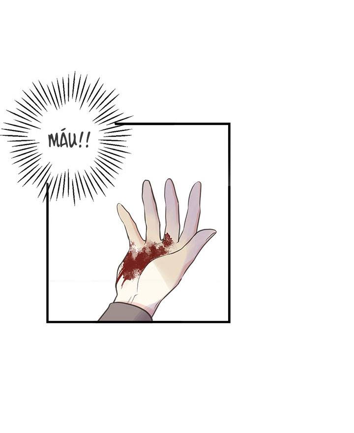 chị tôi đã nhặt về một nam chính quyến rũ chapter 12 3