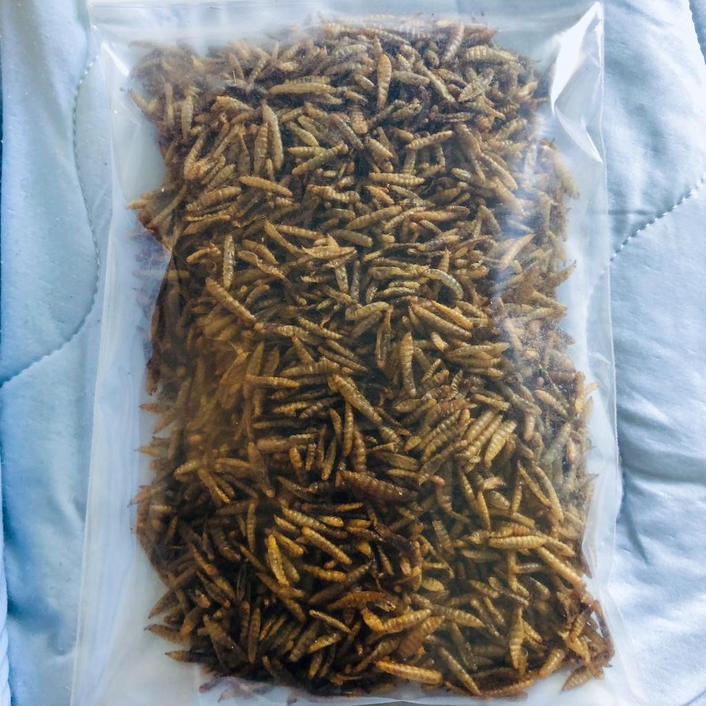 Sâu superworm sấy khô, sâu Canxi cho hamster, cá cảnh, sóc bông, nhím