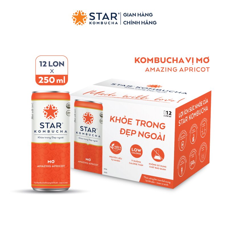 Thùng 12 lon thức uống lên men STAR KOMBUCHA Mơ/ Amazing Apricot (250ml/lon) Bật