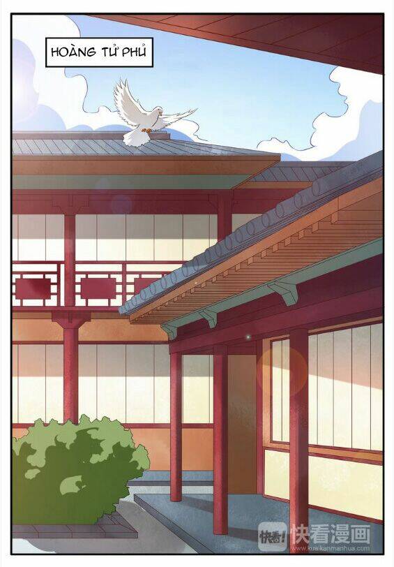 tuấn sủng có độc chapter 4 1