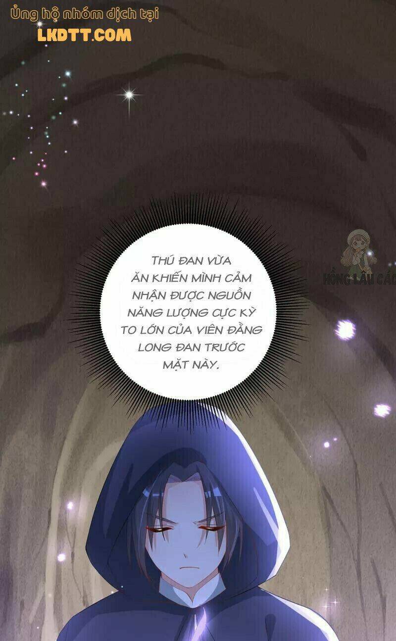 long vương truy thê chapter 13 2