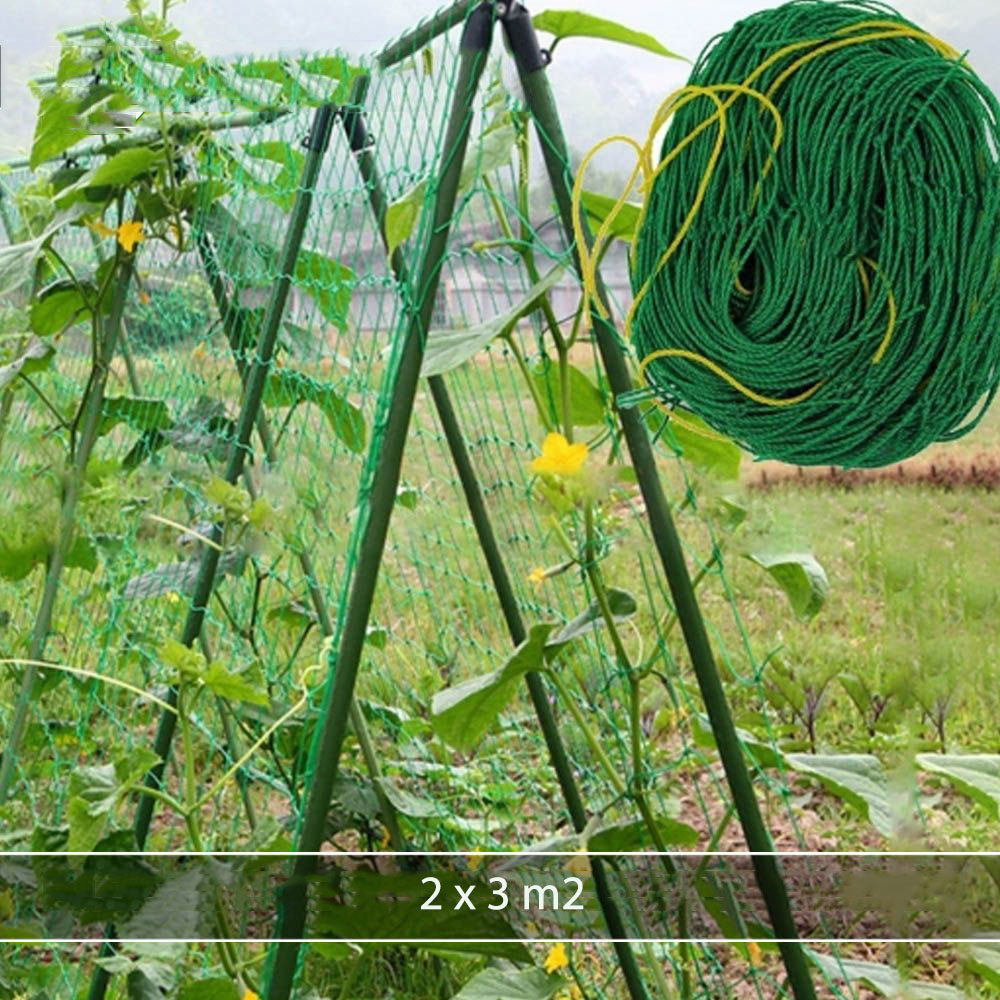 Lưới làm giàn dung cho cây trồng dây leo 2*3m