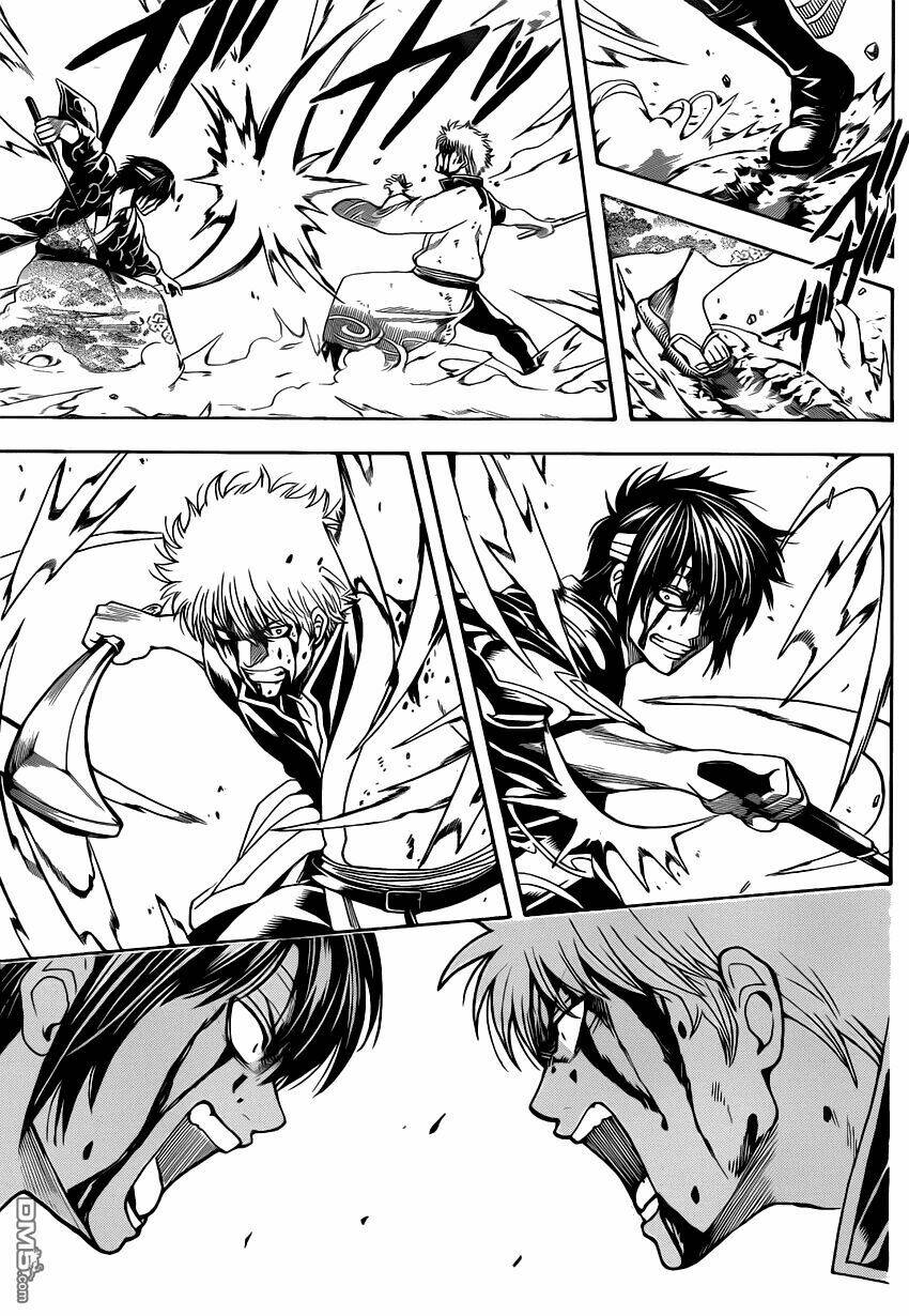 gintama - linh hồn bạc chapter 516 12