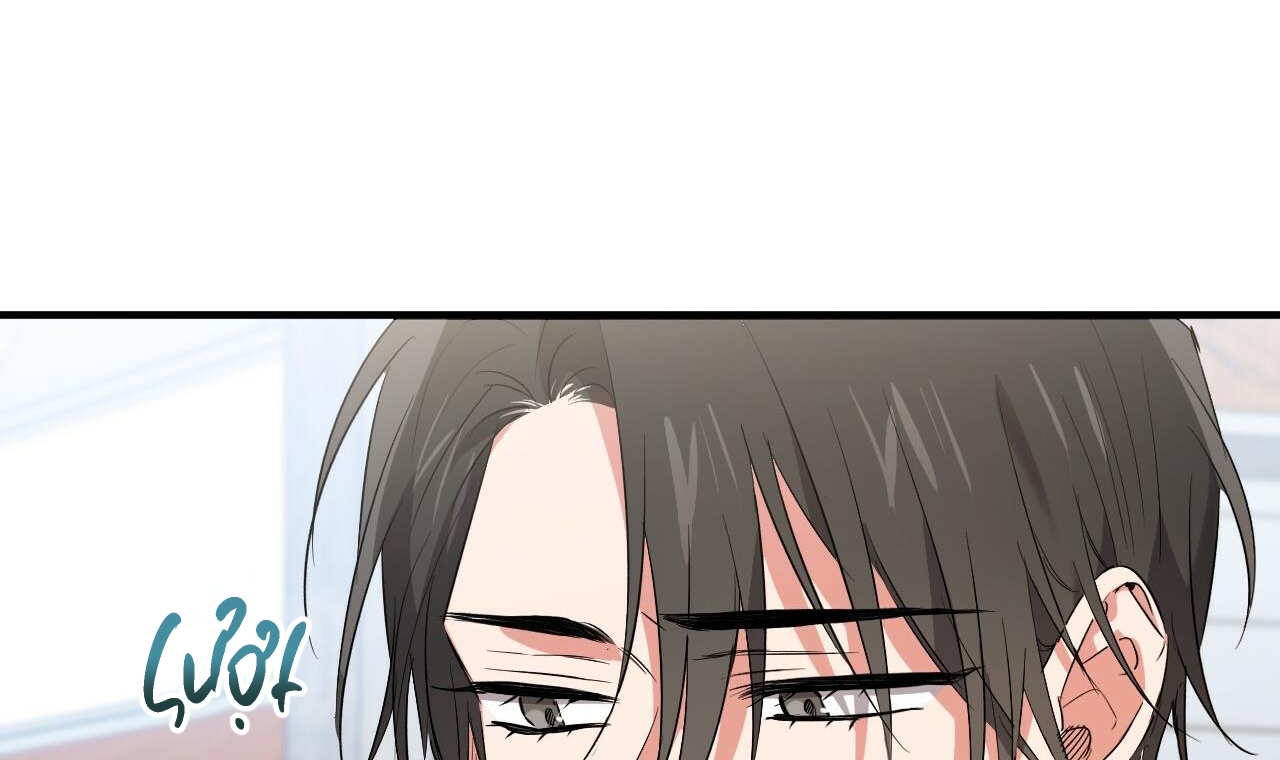 những chú thỏ của hapypy chapter 56 114