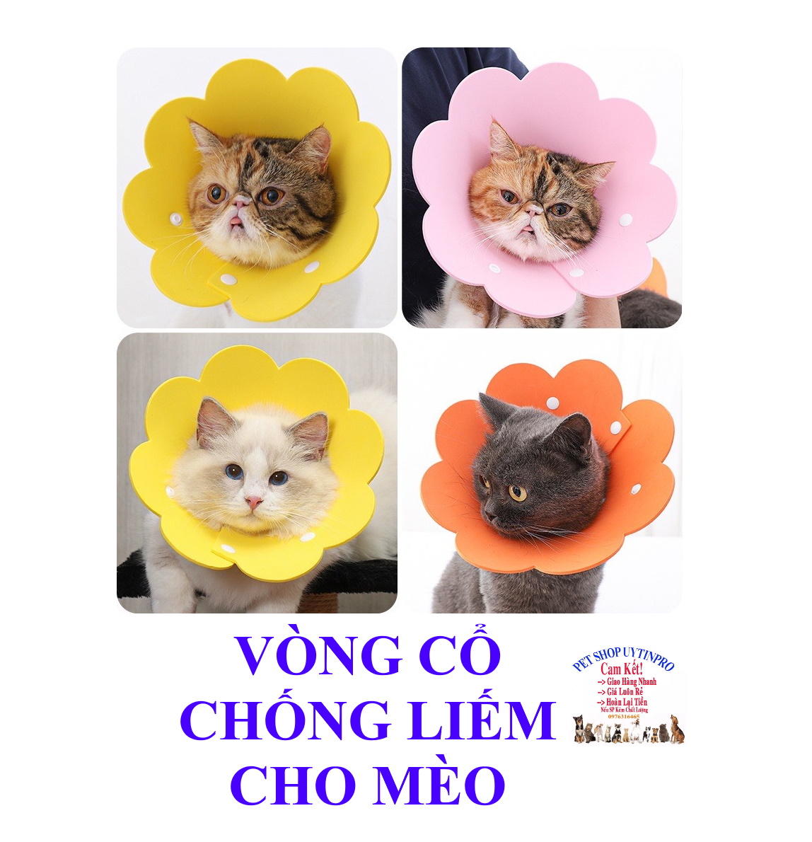 Vòng cổ chống liếm cho Mèo Hình bông hoa Chất liệu xốp siêu nhẹ, êm Giúp thú cưng thoải mái, dễ chịu khi đeo