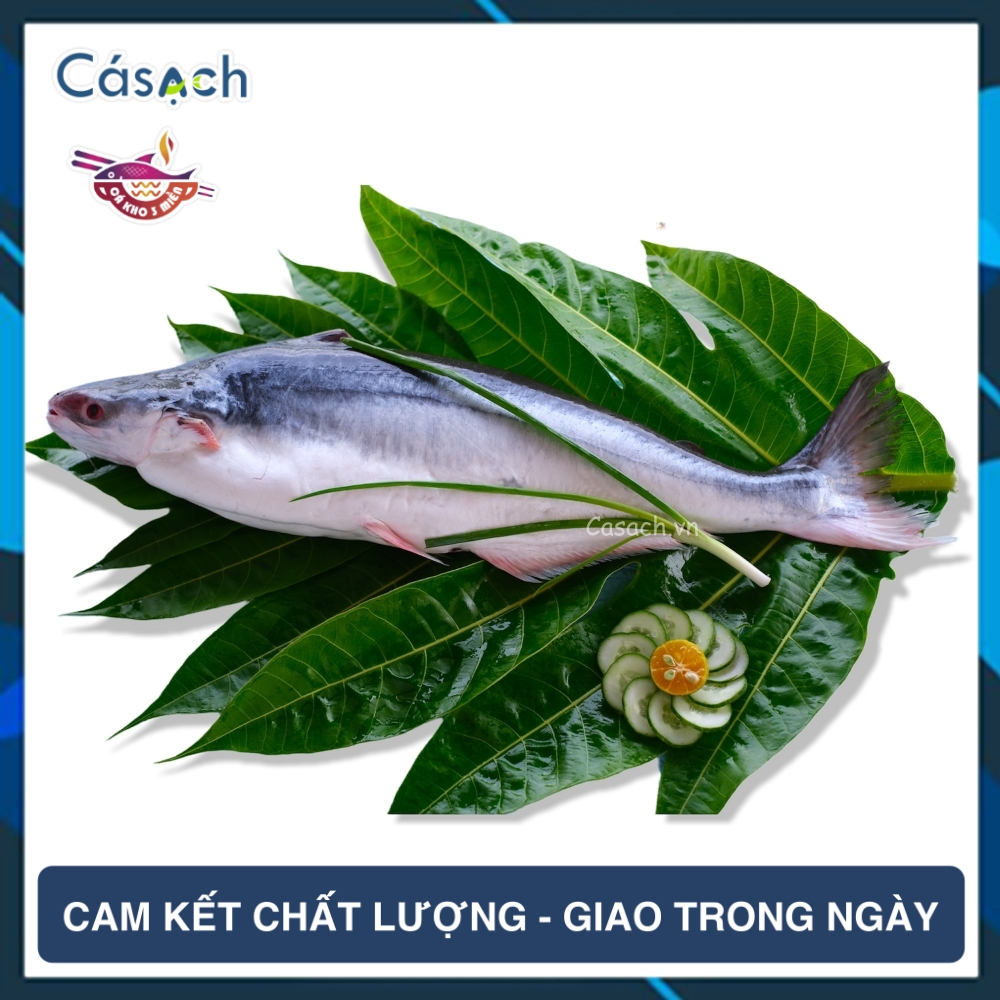 Cá dứa cắt khúc - CKFoods - 500 g