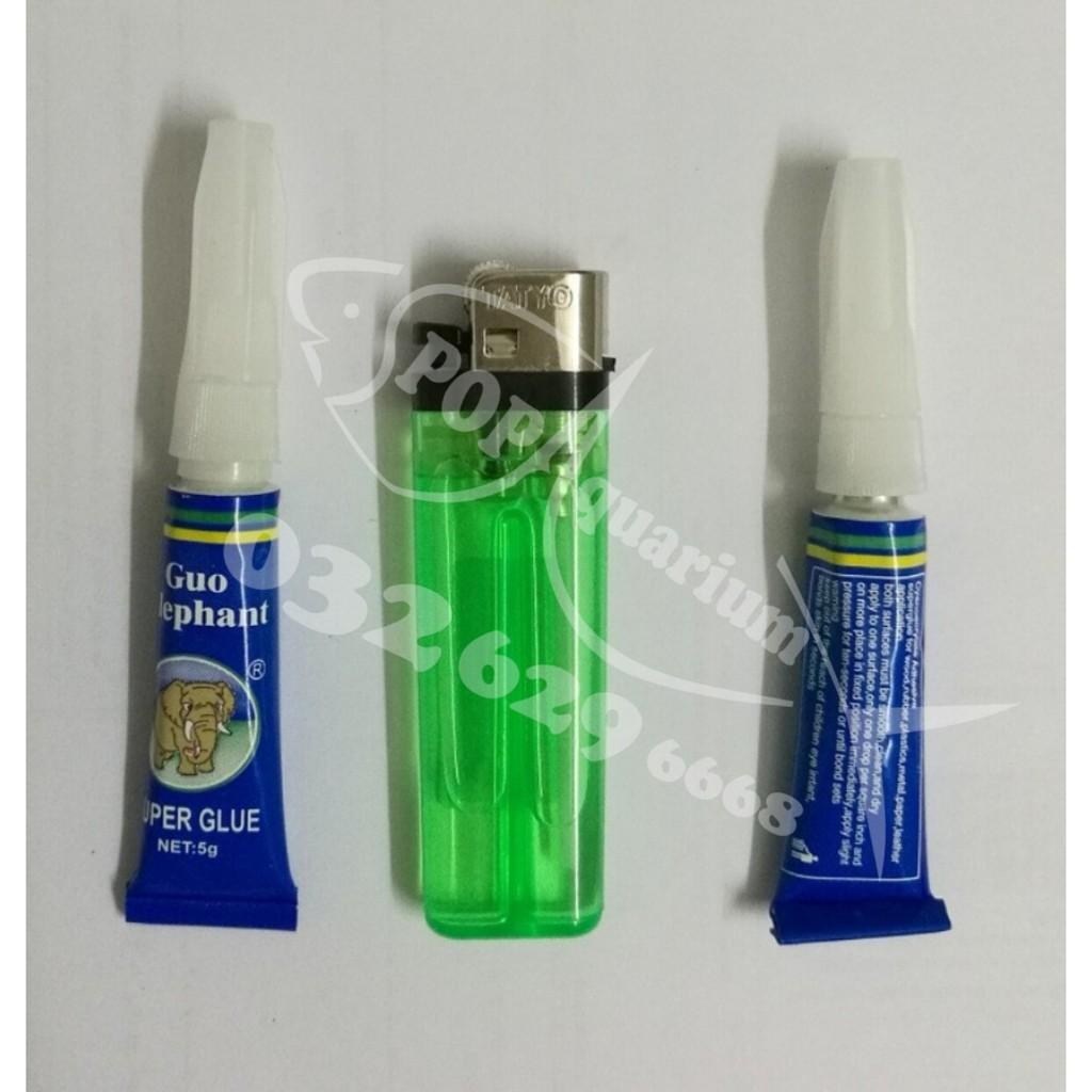 Keo dán rêu,cây thủy sinh