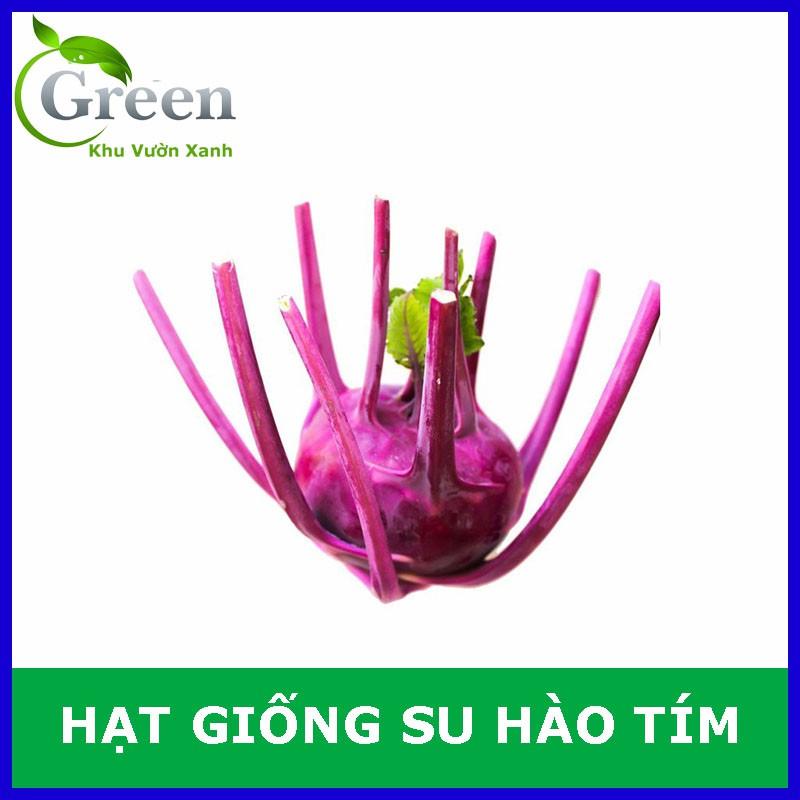 Hạt Giống Củ Su Hào Tím