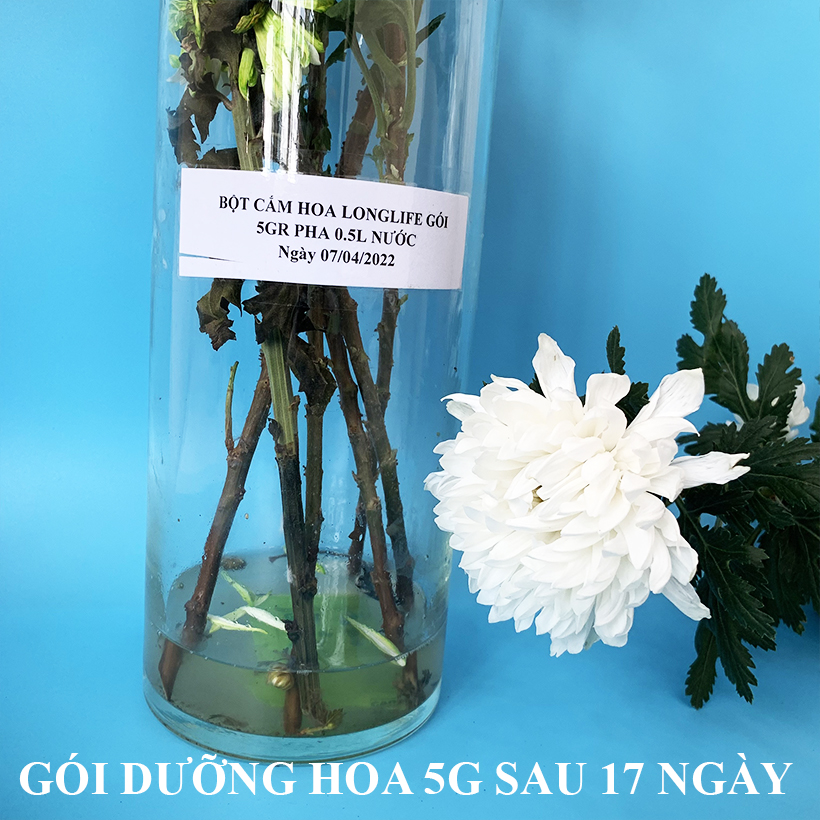 NƯỚC DƯỠNG HOA LÂU TÀN THẾ HỆ MỚI DÙNG CHO MỌI LOẠI HOA HIỆU LONGLIFE SL (CHAI 1L PHA 100L NƯỚC) NHẬP KHẨU GADOT ISRAEL