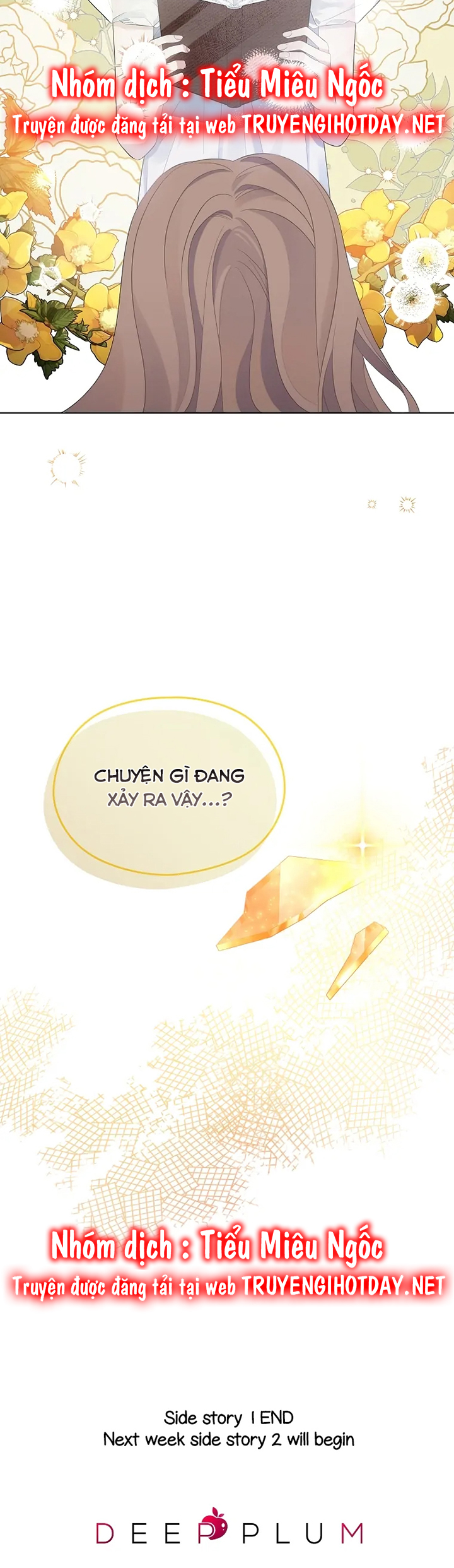 aster yêu dấu của tôi chapter 54 71