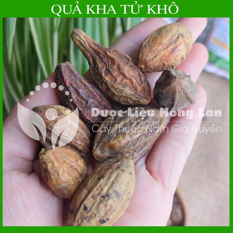 100g Quả Kha T.ử khô loại 1