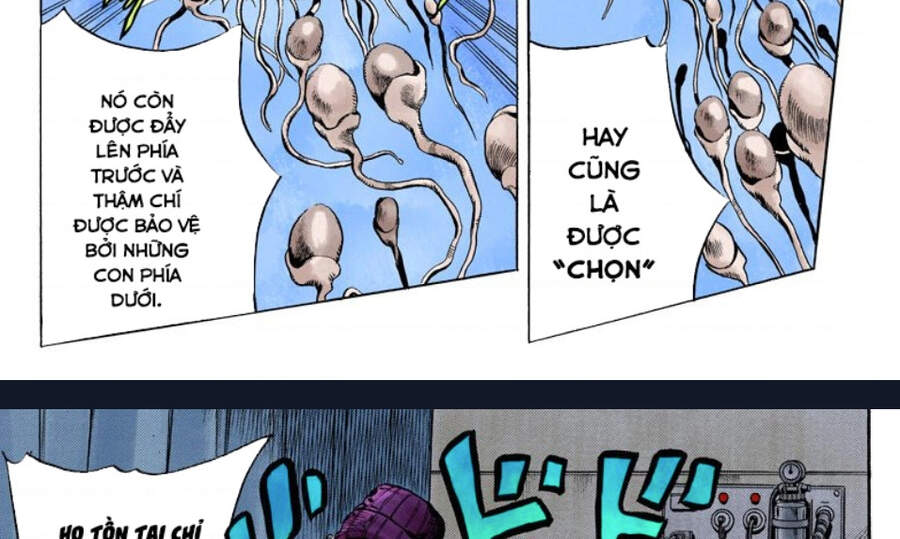 cuộc phiêu lưu bí ẩn chapter 705 41