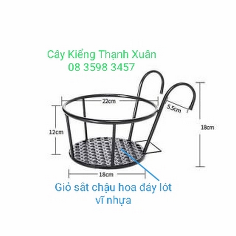 Giỏ treo chậu hoa - Giỏ  treo Chậu hoa ban công - Giỏ sắt treo chậu cây cứng cáp, độ bền cao, Đường kính miệng 22cm, đường kính đáy 18cmyn