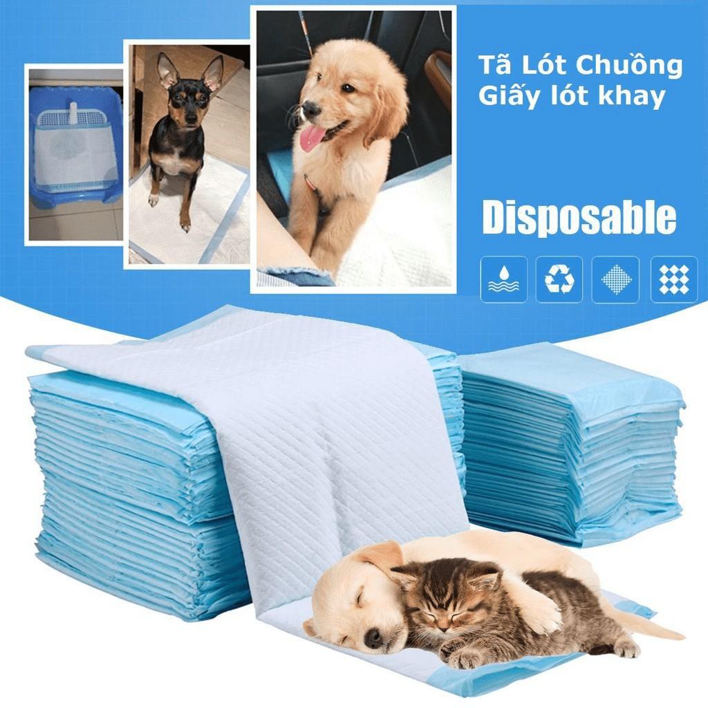 Tấm lót vệ sinh Pad Pet Training cho chó mèo size M 50 miếng 45x60cm, size L 40 miếng 60x60cm