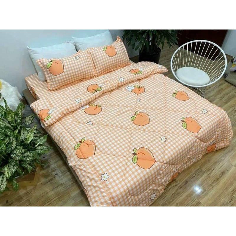 Bộ 5 món chăn phao ga gối poly cotton hàng loại 1 Chăn Bông Như Hình được chọn mẫu