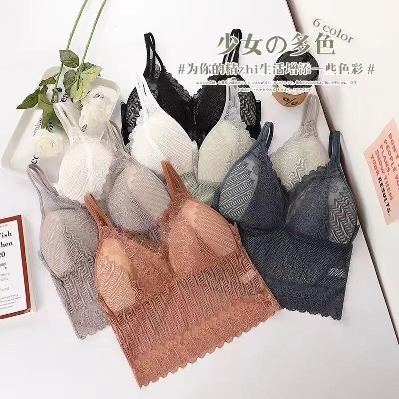Áo bra ren 1806 4 màu