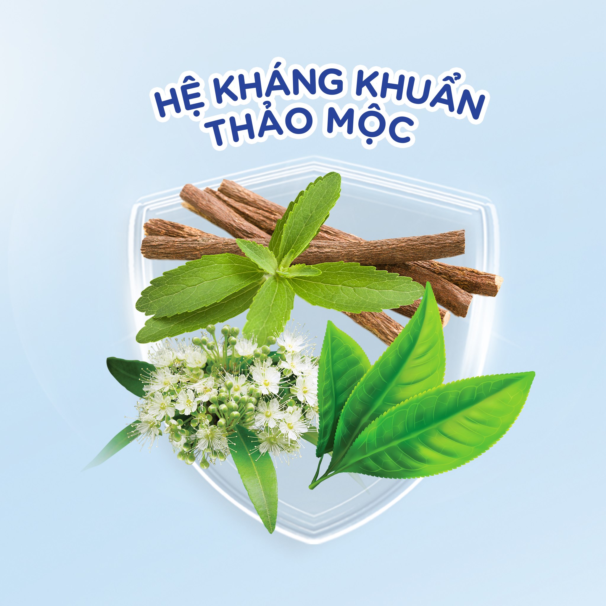 Aiken Combo 2 Sữa Tắm Sạch Khuẩn Chiết Xuất Bạc Hà 350g/chai