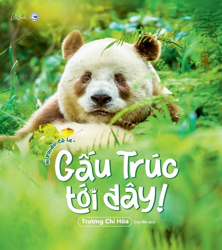 Sách - Gấu Trúc Tới Đây! - Hi Panda! Cò Le~ - Tặng Kèm 1 Khung Ảnh + 4 Postcard Hai Mặt + 1 Sticker Gia Tộc Gấu Trúc