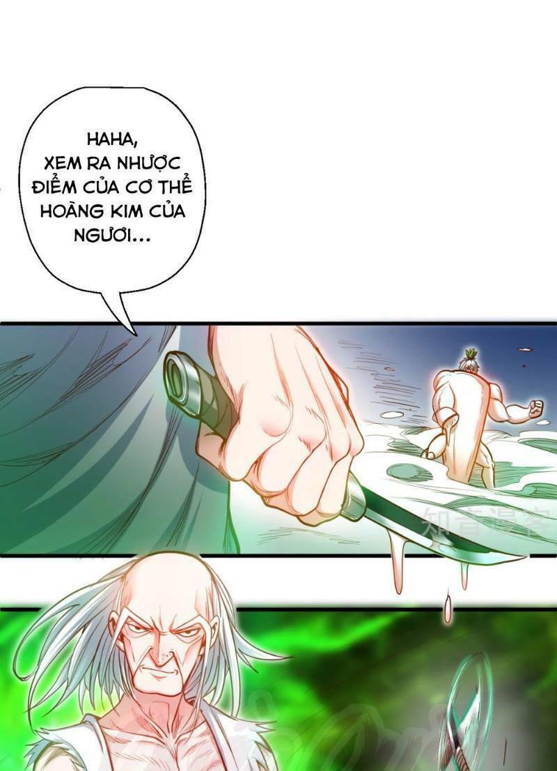tối cường đại biểu hoàng kim thận chapter 67 27
