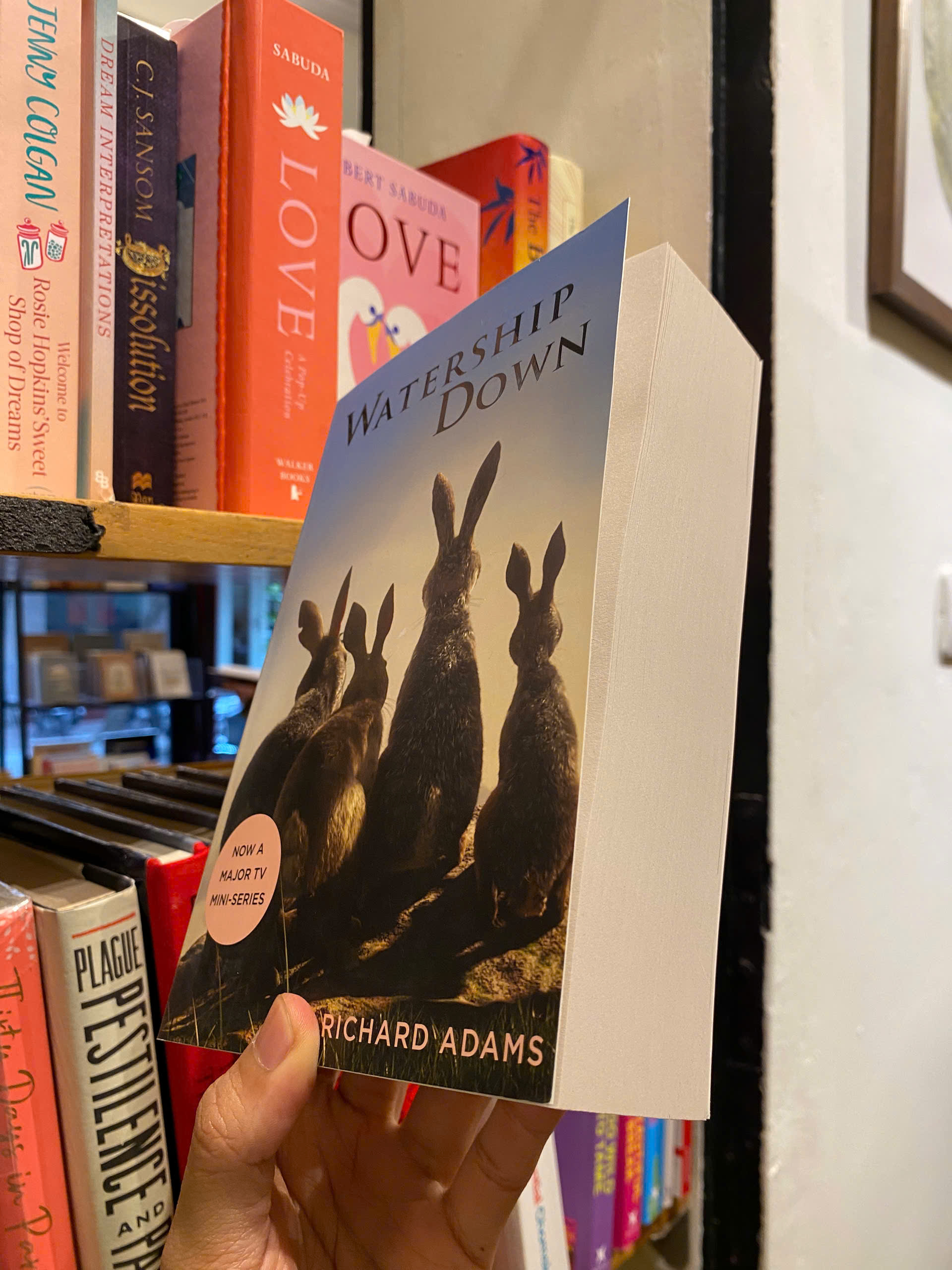 Sách - Watership Down (A Puffin Book) by Richard Adams - Classics, Fiction, Fantasy ,Young Adult