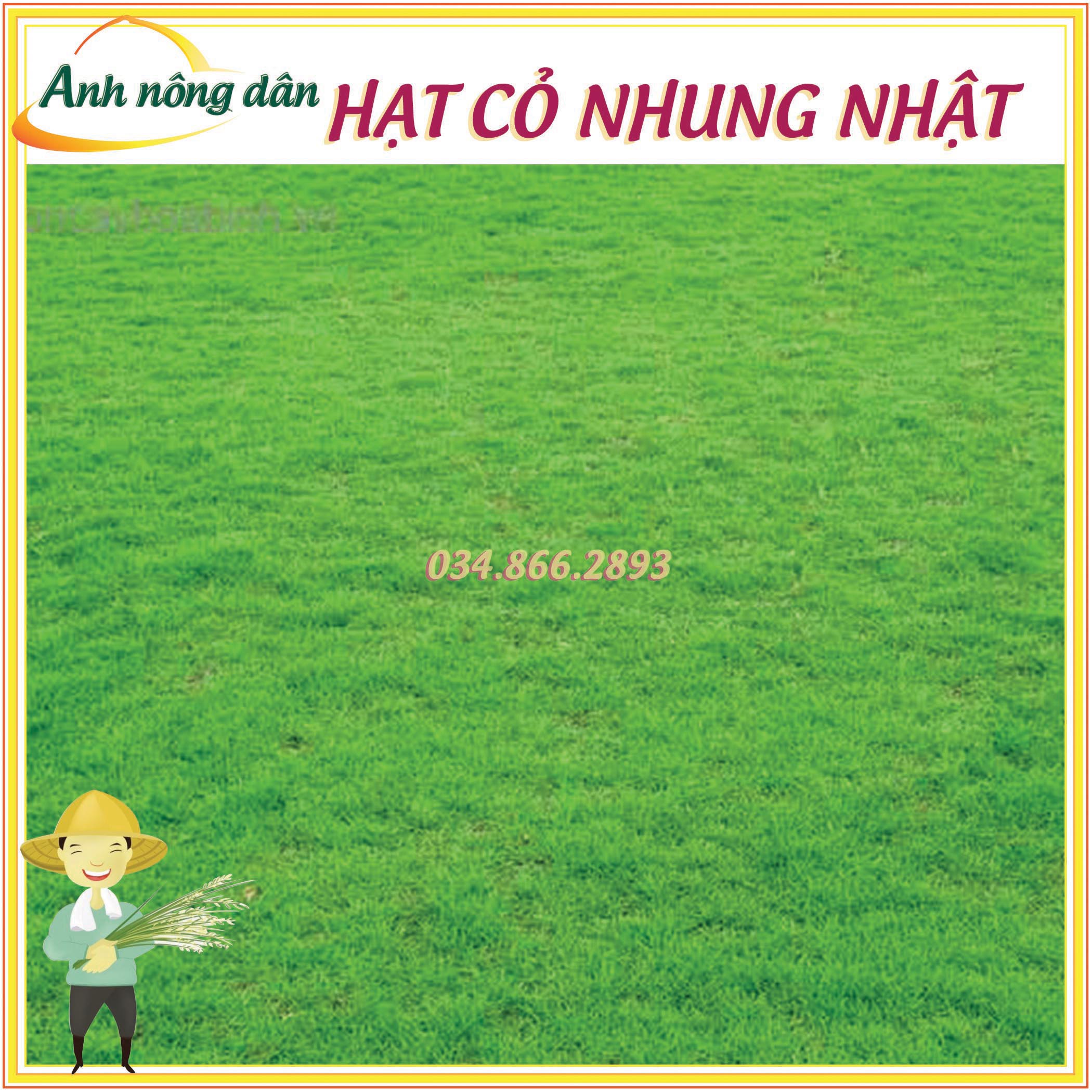 Gói 100g Hạt giống cỏ thảm Nhung nhật - trồng sân vườn, công trình - Anh nông dân chính hiệu