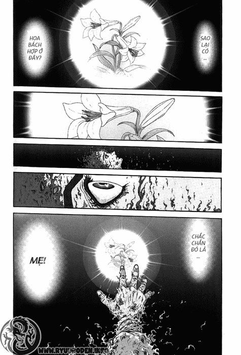 chú bé rồng - ryuuroden chapter 116 20