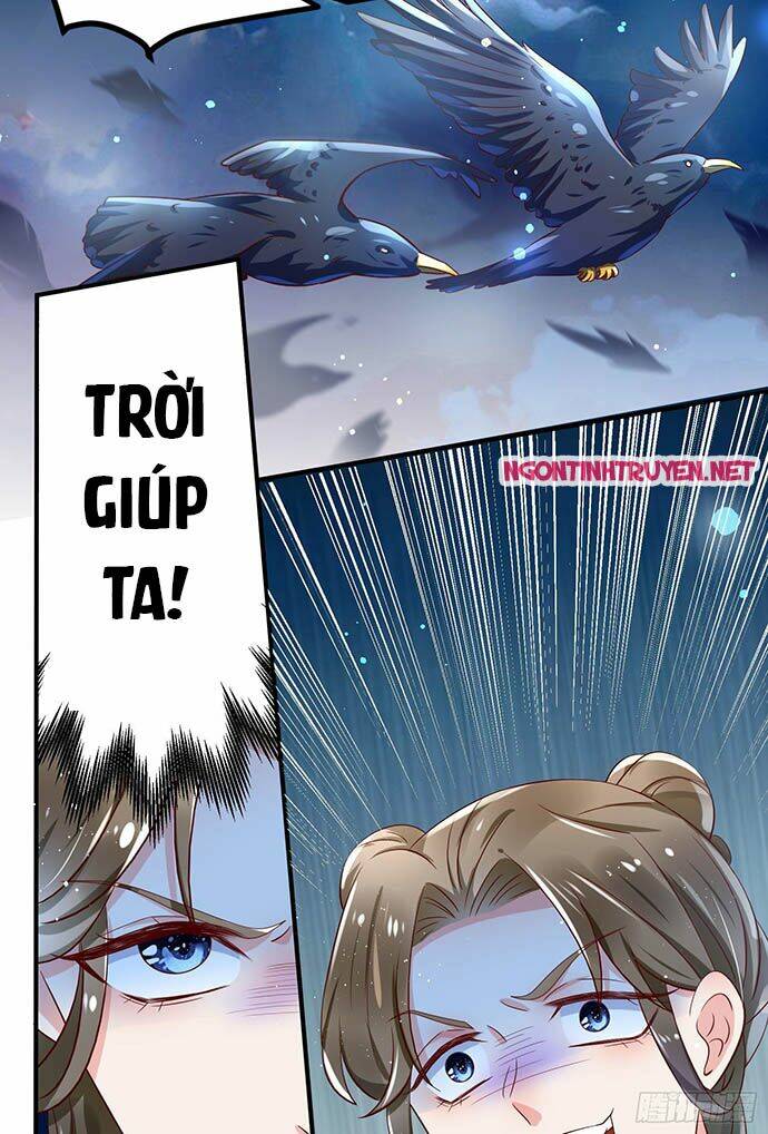 bệnh kiều phu quân ngạnh thượng cung chapter 8 50