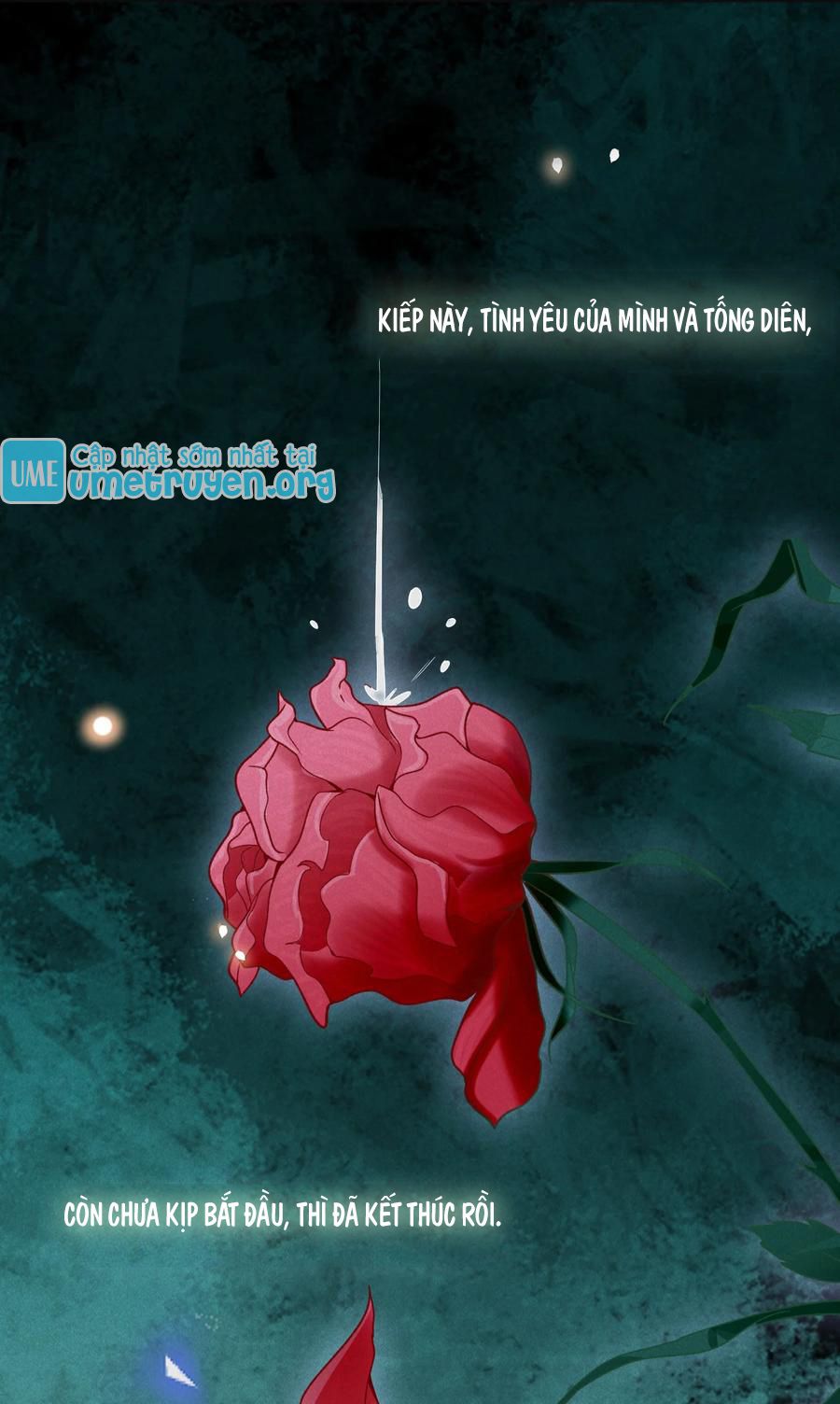 kiếp sau không gặp chapter 42 35