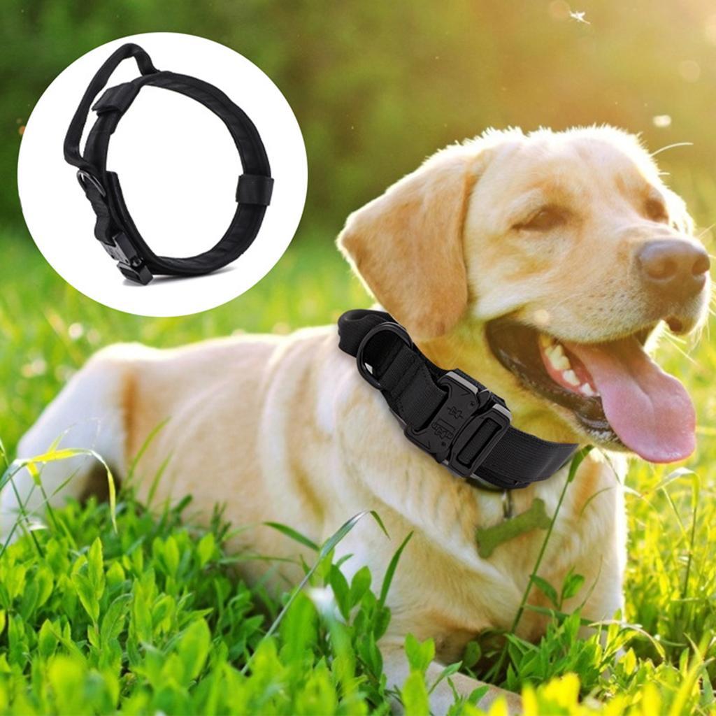 Dog Collar Classic Solid Colors with D-Ring for Medium Large Dogs Black