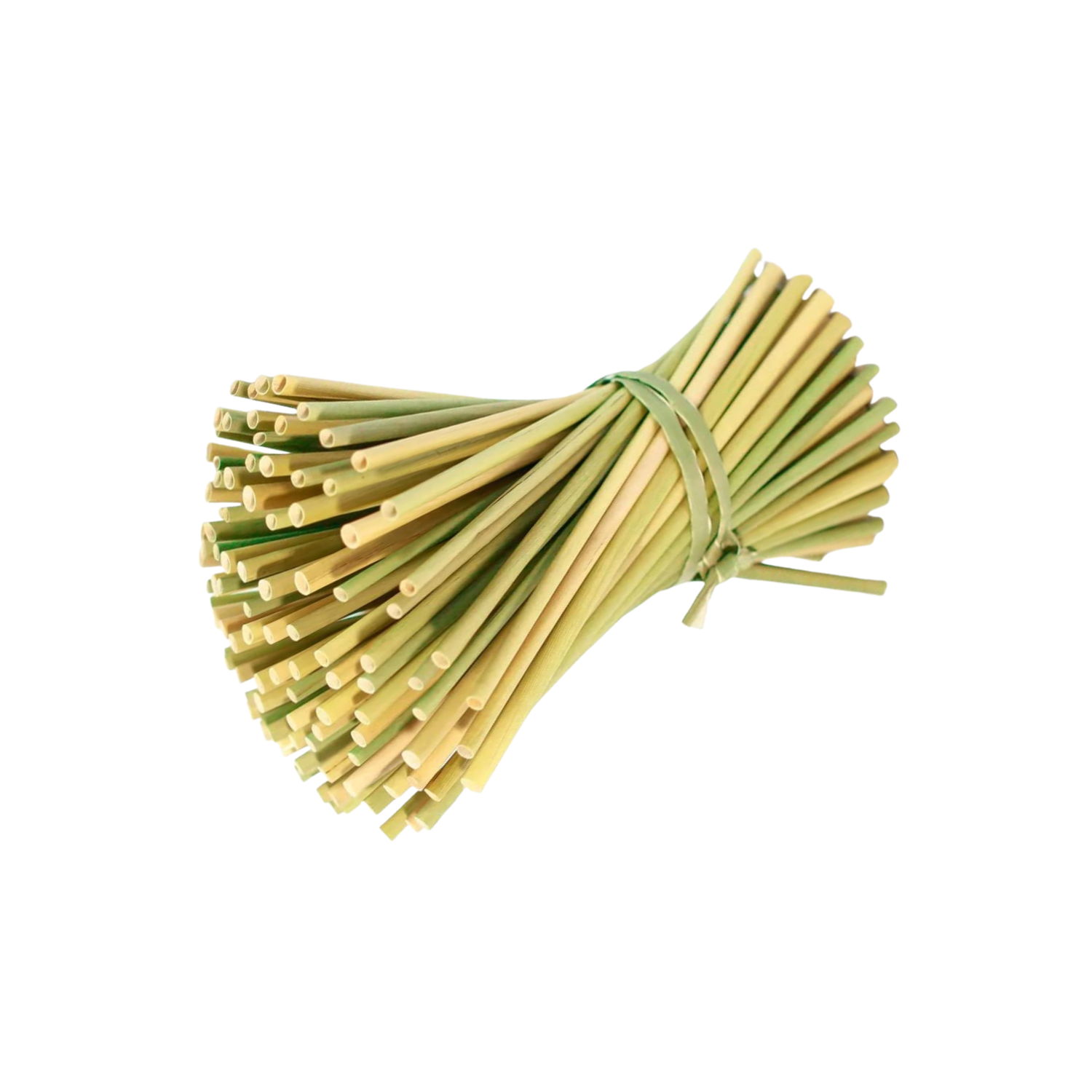 Ống hút cỏ bàng