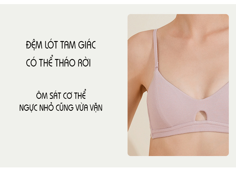 Áo Lót Nữ Cotton Không Gọng Đệm Mỏng, Áo Lót Thun Tăm Dáng Thể Thao B042
