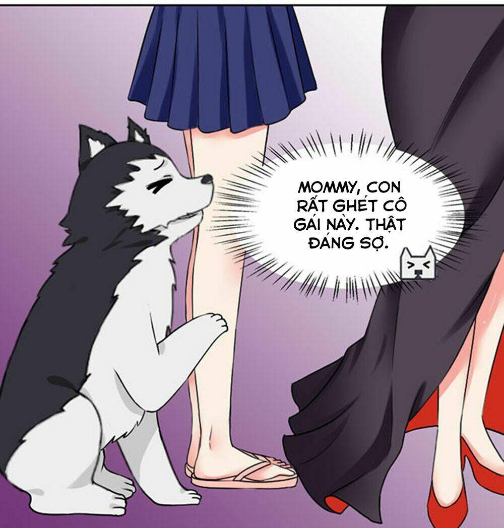 tổng tài ma cà rồng tha cho tôi chapter 13 14