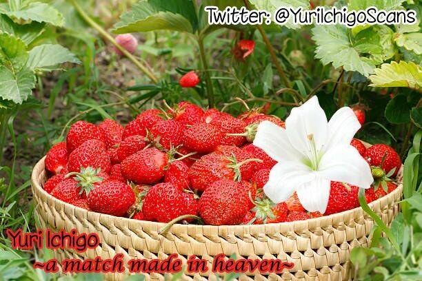 hino-san no baka chapter 10.5 15