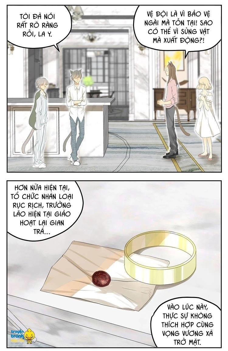 cứu mạng ! loài mèo thống trị thế giới rồi ! chapter 19 15