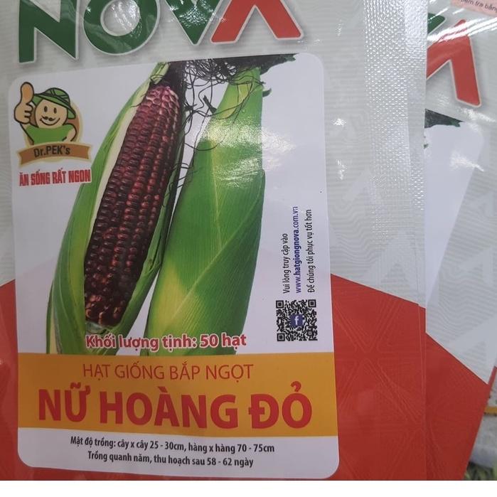 Hạt giống bắp nữ hoàng đỏ ( 1 gói 50 hạt )