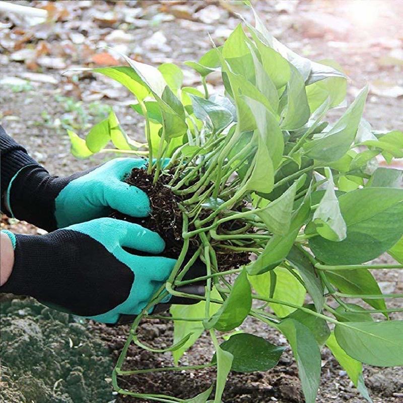 Bao  tay làm vườn có móng vuốt để cào ,bới đất ,chăm sóc cây , chống thấm nước , bảo vệ  tay khỏi đất bẩn ,các hóa chất từ phân bón , thuốc trừ sâu ,  diệt cỏ  tránh  tổn thương do va chạm với vật sắc nhọn , cành cây, co giãn đàn hồi tốt  , dễ vệ sinh